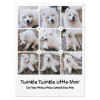 QH-239-9 Pet Blanket