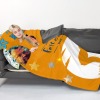 07ff8535cb56b3c21bddc664fc04d2f776ba6a7c_m Blanket (Pillow) Standard 50x70inch