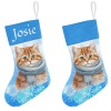 Snowflakes Cute Cat Christmas Stocking