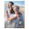YJL-ZL-039-1 mum Blanket