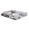 QH-239-9 Pet Blanket