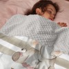 Safari Animal Elephant Minky Blanket